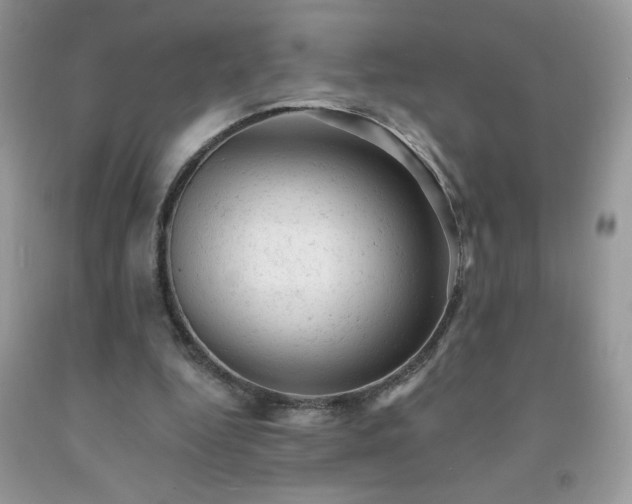 X0000092300344200709141324