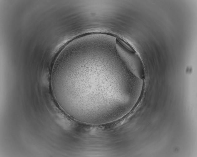 X0000092300345200709141324