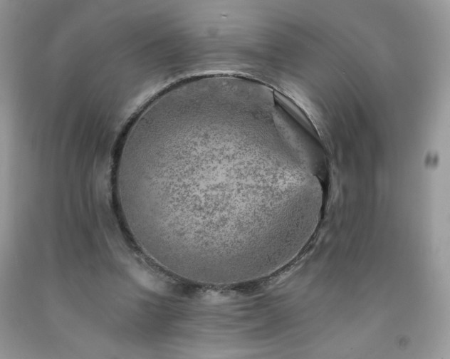 X0000092300346200709141324