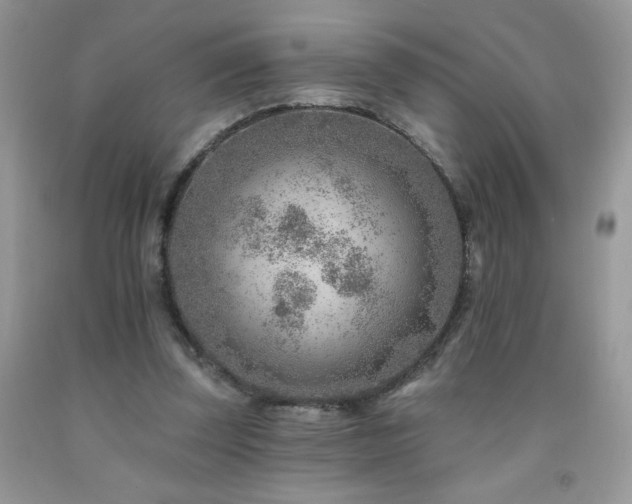 X0000092300347200709141324
