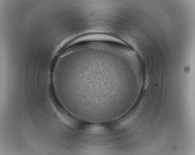 X0000092300348200709141324
