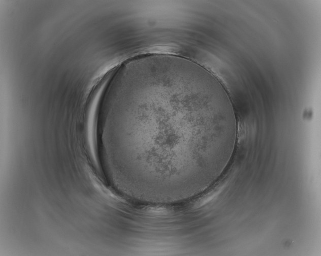 X0000092300349200709141324
