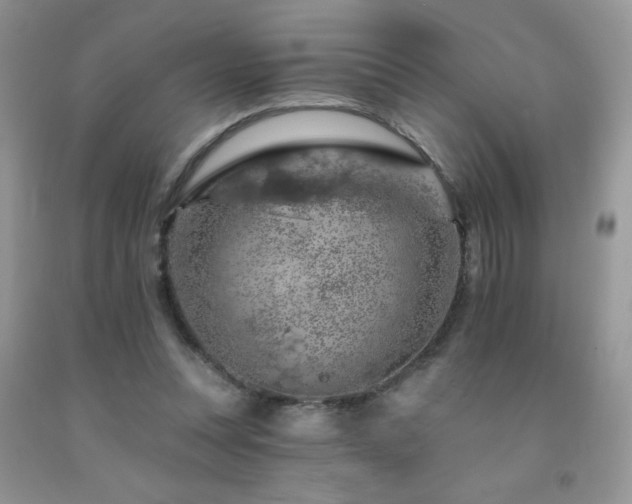 X0000092300351200709141324