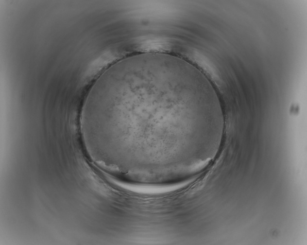 X0000092300353200709141324