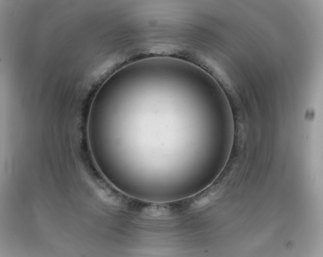 X0000092300354200709141324