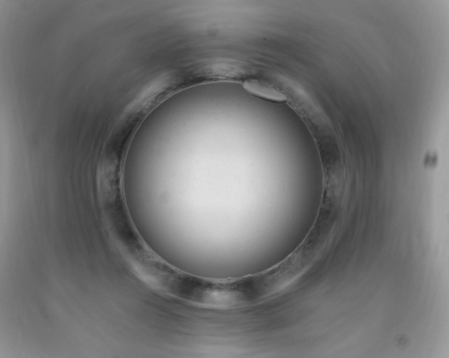 X0000092300360200709141325