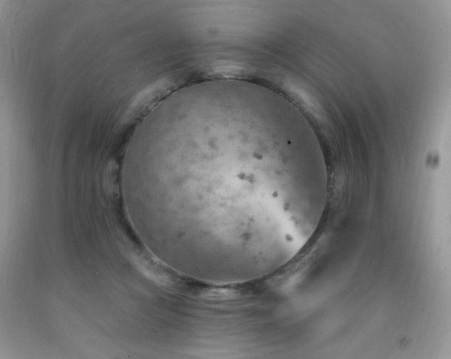 X0000092300361200709141325