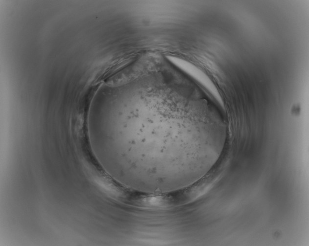 X0000092300365200709141325