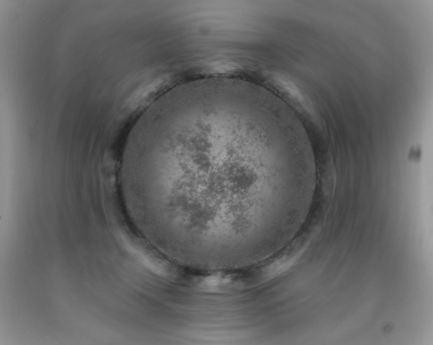 X0000092300366200709141325