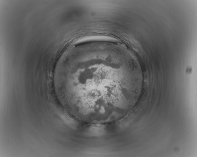 X0000092300369200709141325