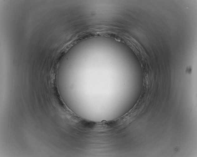 X0000092300372200709141325