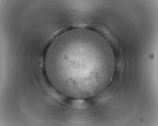 X0000092300374200709141325