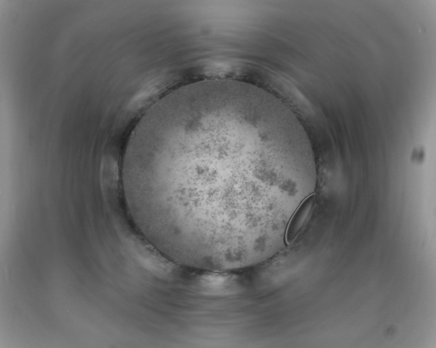 X0000092300375200709141325