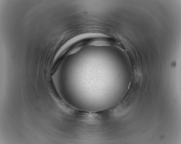 X0000092300379200709141325