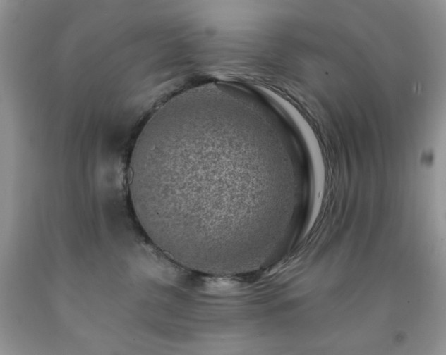 X0000092300380200709141325