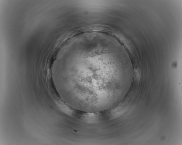 X0000092300381200709141325