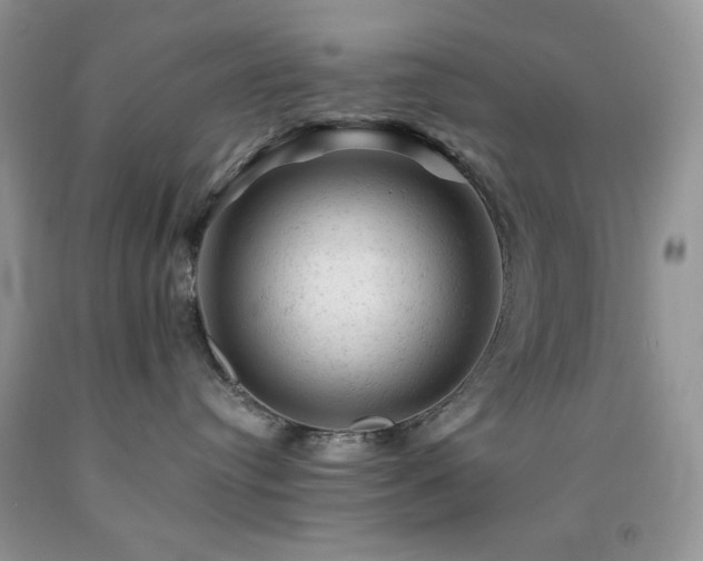 X0000092300384200709141325