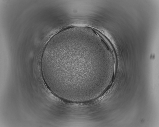X0000092300385200709141324