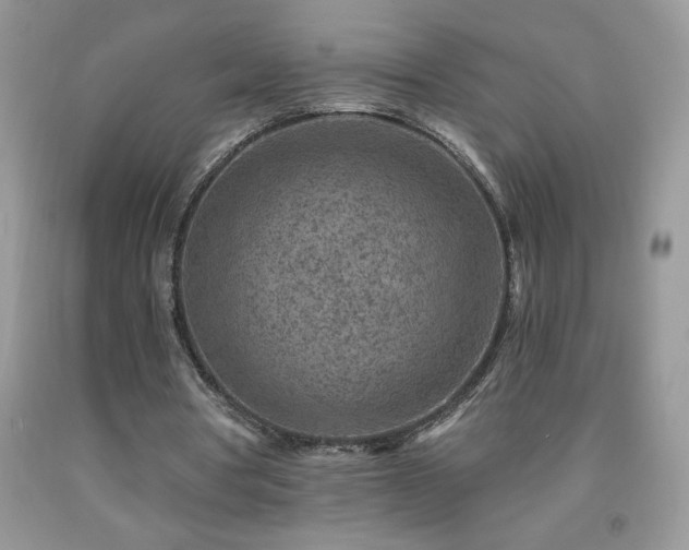 X0000092300386200709141324