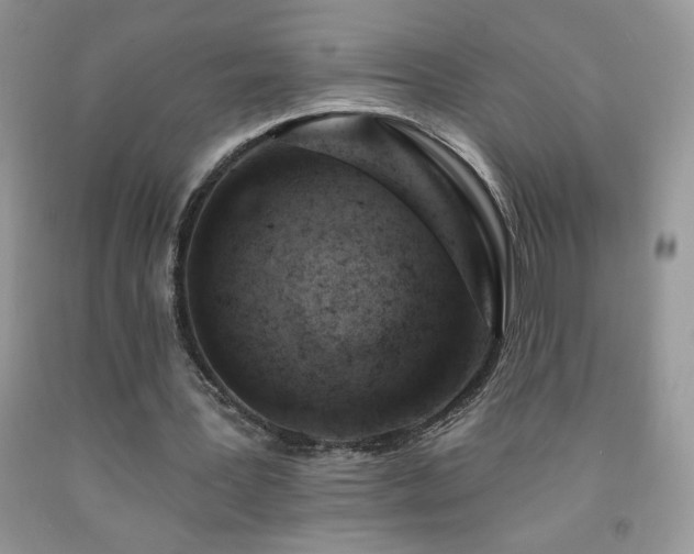 X0000092300387200709141324