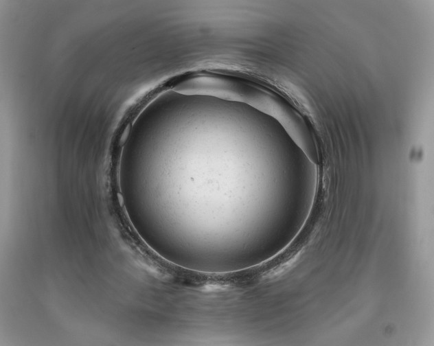 X0000092300388200709141324