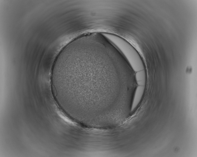 X0000092300389200709141324