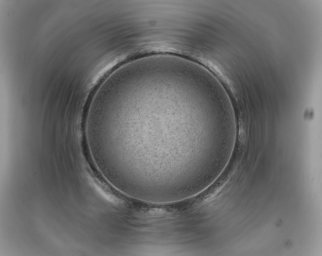 X0000092300390200709141324