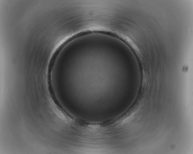 X0000092300391200709141324