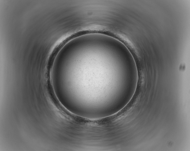 X0000092300392200709141324