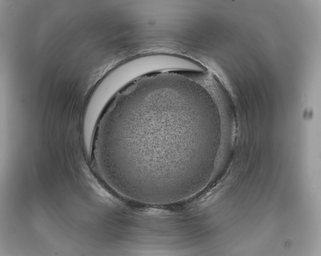 X0000092300393200709141324
