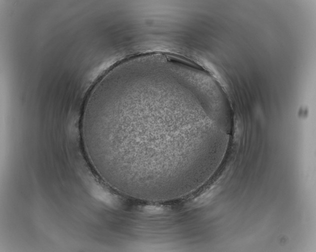X0000092300394200709141324