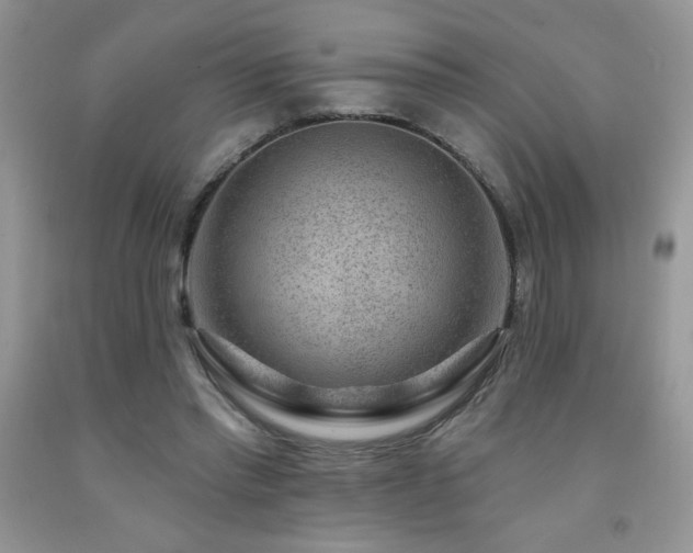 X0000092300397200709141324