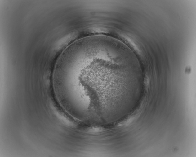 X0000092300402200709141324