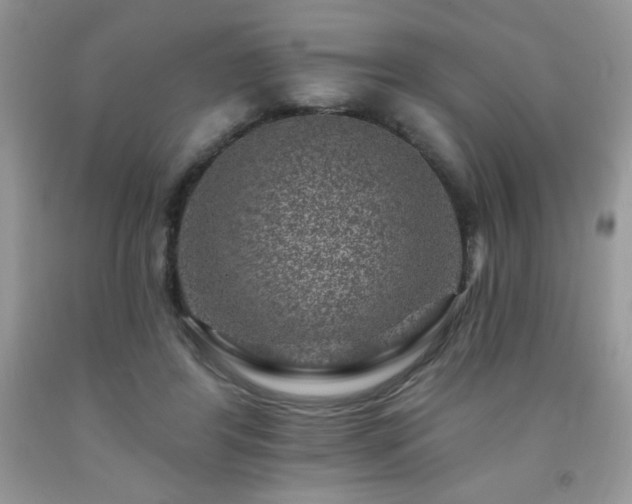 X0000092300404200709141324