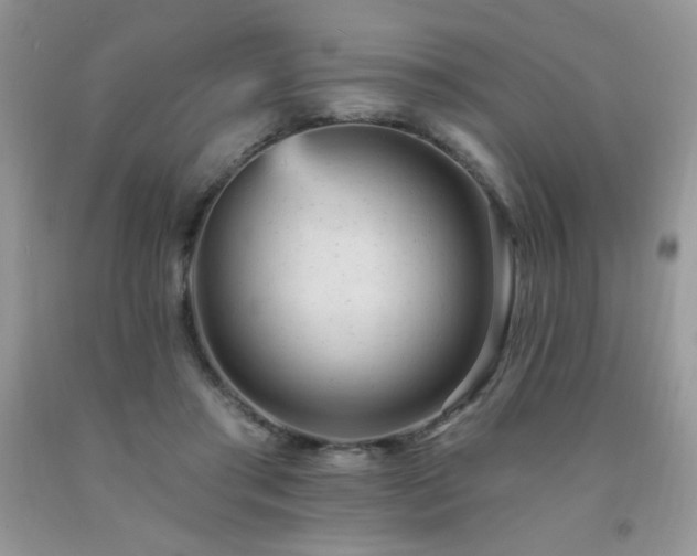 X0000092300405200709141324