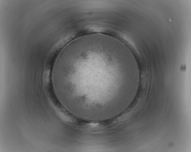 X0000092300406200709141324