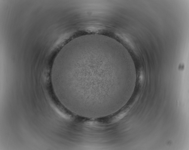 X0000092300408200709141324