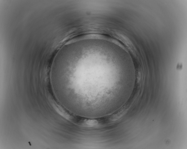 X0000092300409200709141324