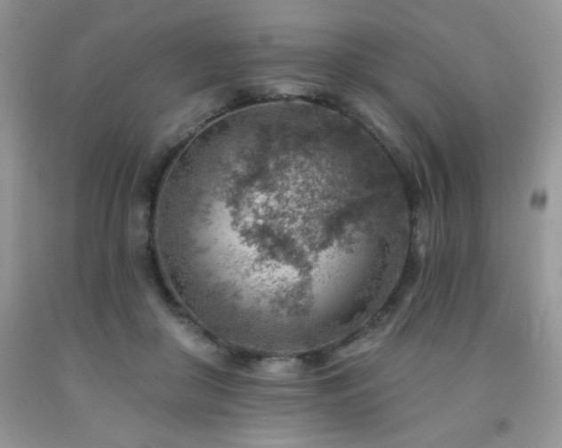 X0000092300410200709141324