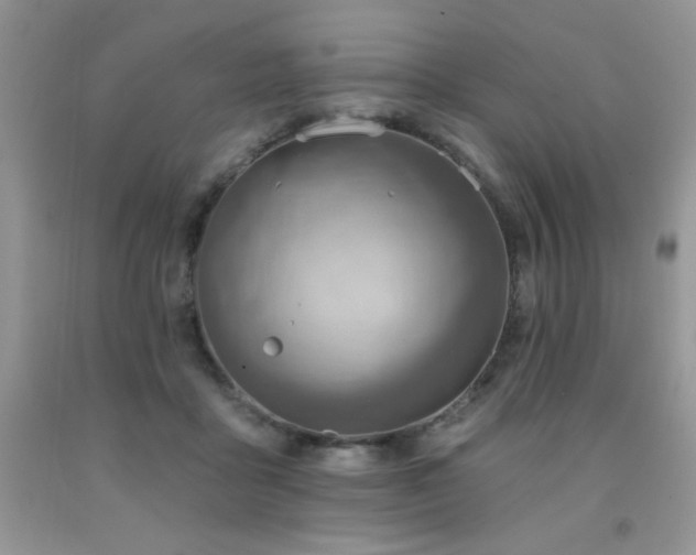 X0000092300411200709141324