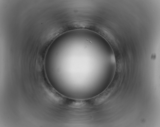 X0000092300414200709141324