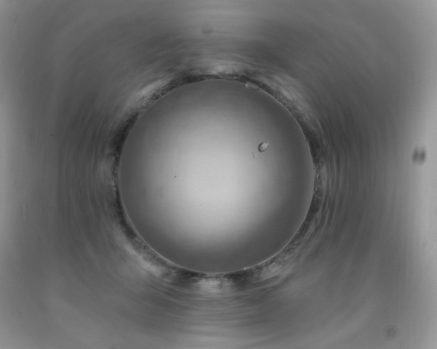 X0000092300415200709141324