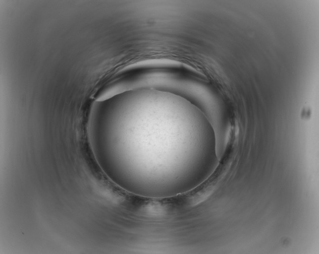 X0000092300416200709141324