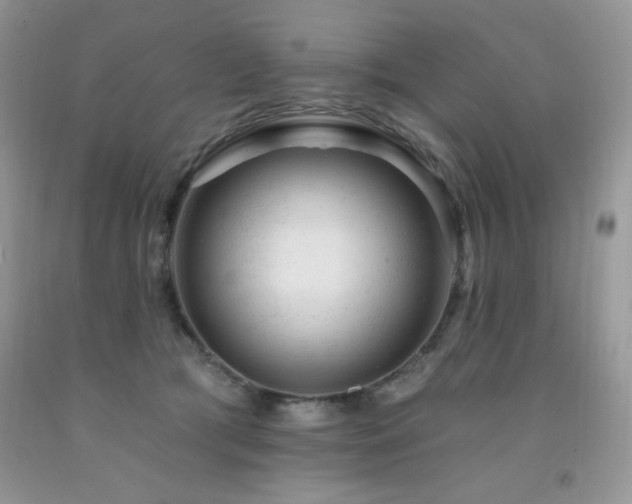 X0000092300417200709141324