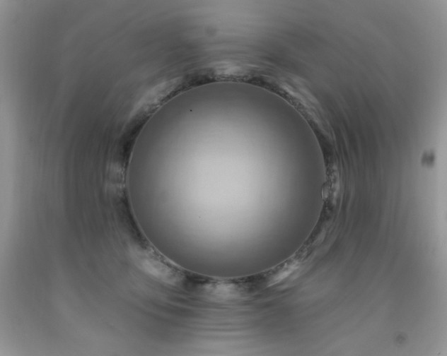X0000092300419200709141324