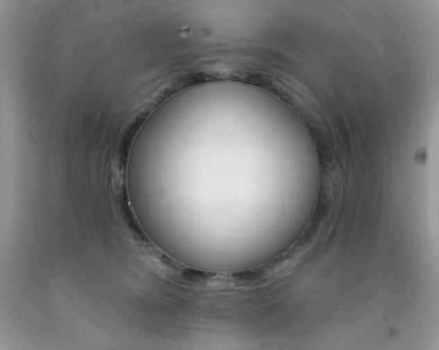 X0000092300420200709141324