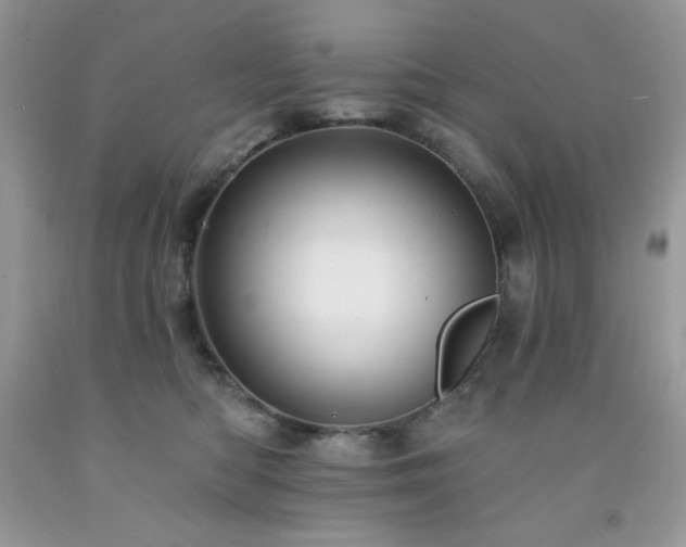 X0000092300422200709141324