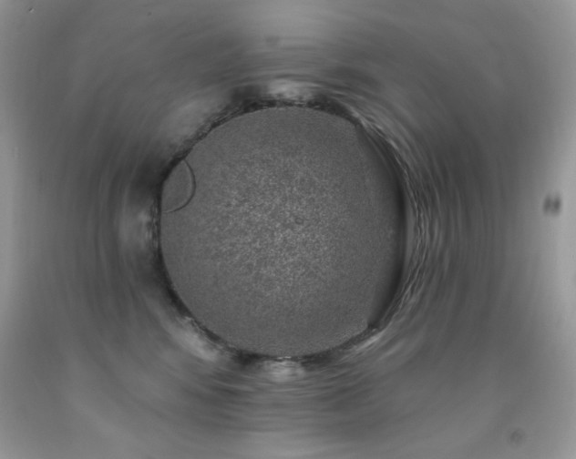 X0000092300424200709141324