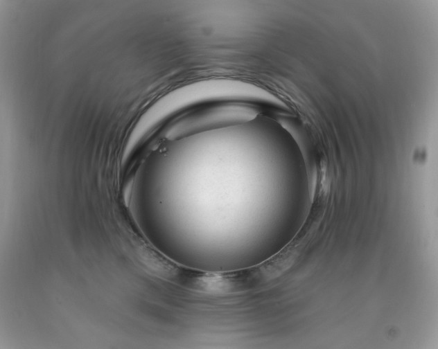 X0000092300425200709141324