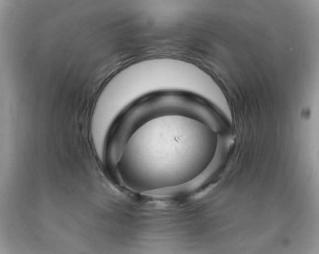 X0000092300428200709141324